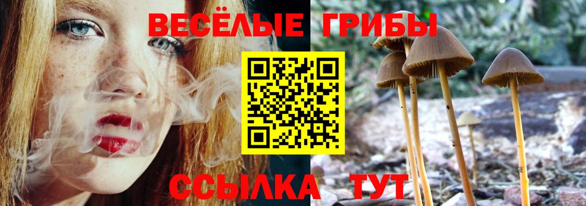 Псилоцибиновые грибы Magic Shrooms  Псилоцибиновые грибы Cubensis  Вход с VPN  Кизляр 